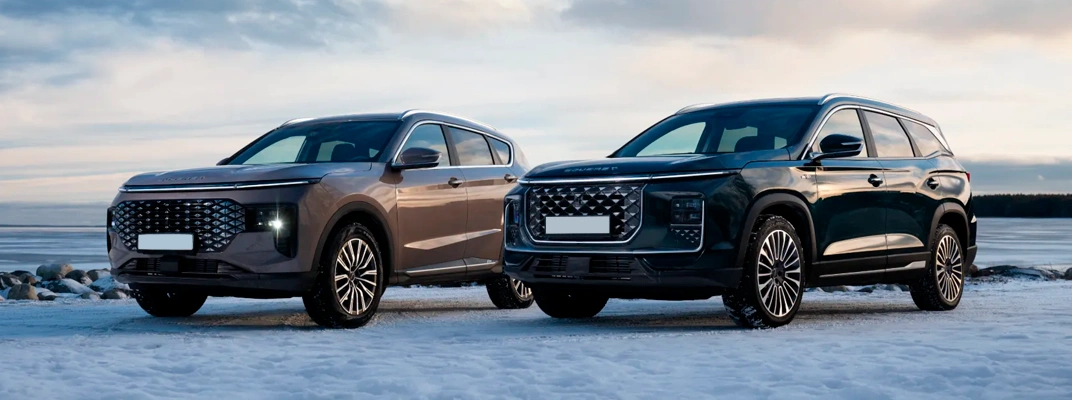 Купить SOUEAST в Челябинске